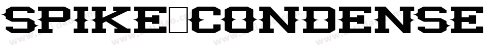 Spike-Condensed Bold字体转换